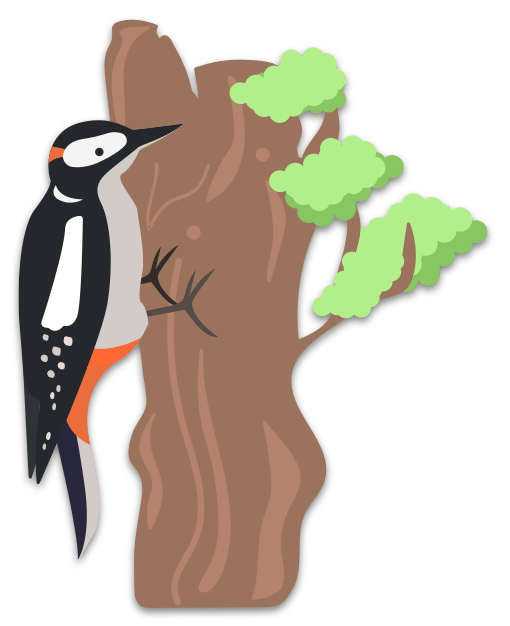 Woodpecker