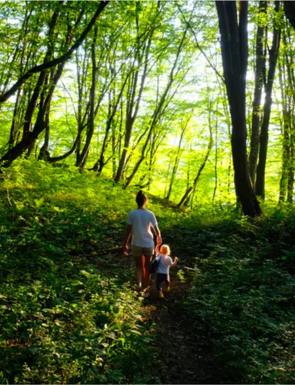 help protect sherwood forest