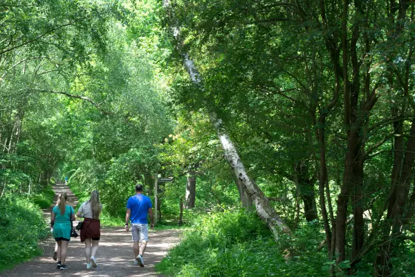 Family walking in Sherwood LARGE photo