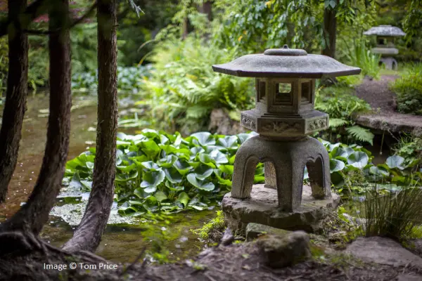 Newstead Abbey Japanese Garden Image by Tom Price