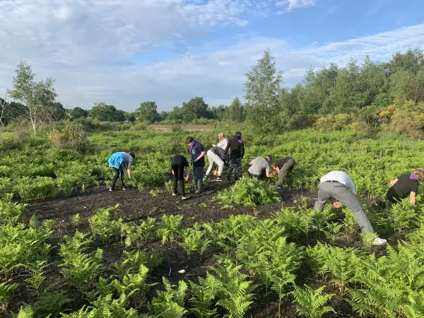 Volunteers at Oak Tree Heath clearing