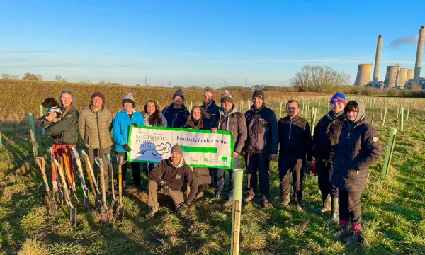 Tree planting by Sherwood Forest Trust