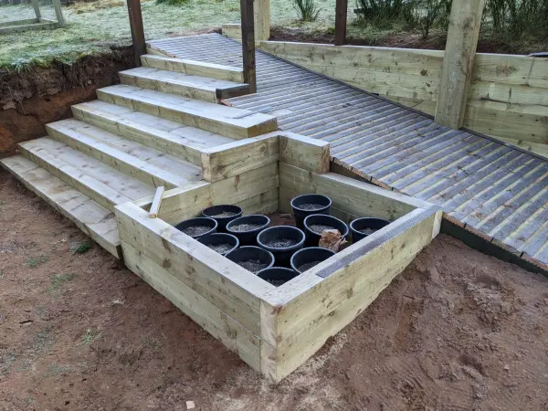 Raised beds at Tree Nursery