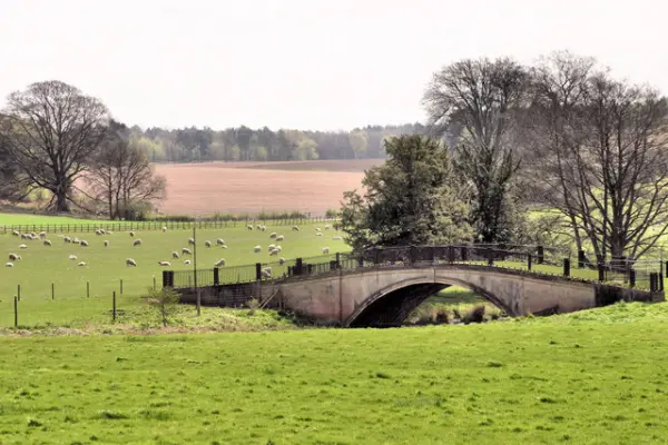 Bridge_in_Thoresby_Park_Nottinghamshire_-_geograph.org.uk_-_782452