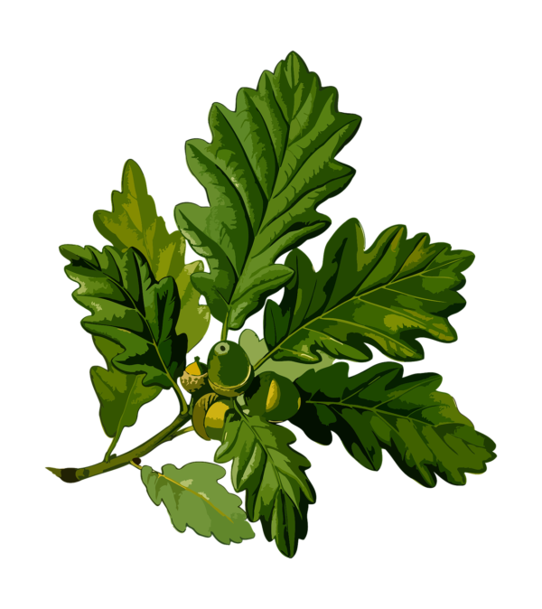 branch-1299950_1280