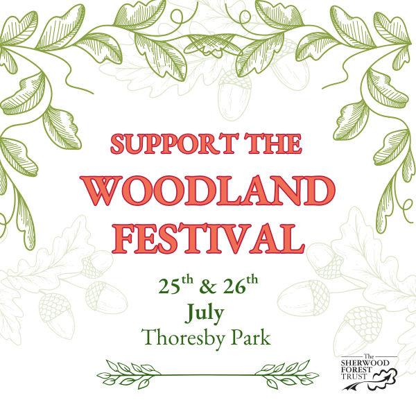 Support Woodland Festival 26 (1)